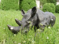 2804 037 : creation, creation animeaux, pieces, rhino